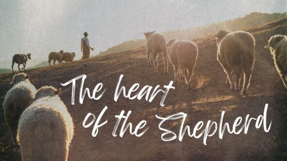 Revealing the Heart of the Shepherd